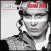 Adam Ant